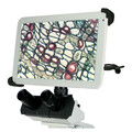 National Optical 10 in. Microscope Tablet D-Moticam BTX5-10